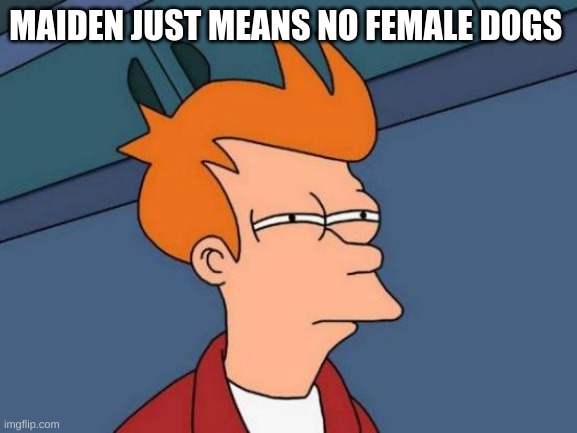 Futurama Fry | MAIDEN JUST MEANS NO FEMALE DOGS | image tagged in memes,futurama fry | made w/ Imgflip meme maker