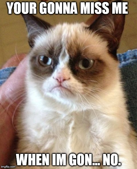 Grumpy Cat Meme | YOUR GONNA MISS ME  WHEN IM GON... NO. | image tagged in memes,grumpy cat | made w/ Imgflip meme maker