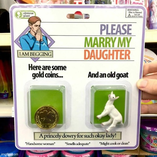 please marry my daughter | image tagged in fake | made w/ Imgflip meme maker