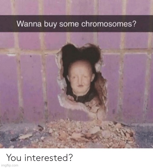 just down wrong | image tagged in dark humor | made w/ Imgflip meme maker