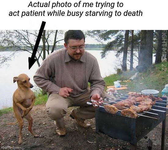 Starving, but supper's not ready | Actual photo of me trying to act patient while busy starving to death | image tagged in barbecue,supper,grill,starving | made w/ Imgflip meme maker