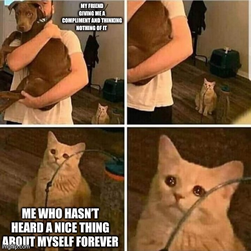 I am so thankful | MY FRIEND GIVING ME A COMPLIMENT AND THINKING NOTHING OF IT; ME WHO HASN’T HEARD A NICE THING ABOUT MYSELF FOREVER | image tagged in sad cat holding dog | made w/ Imgflip meme maker