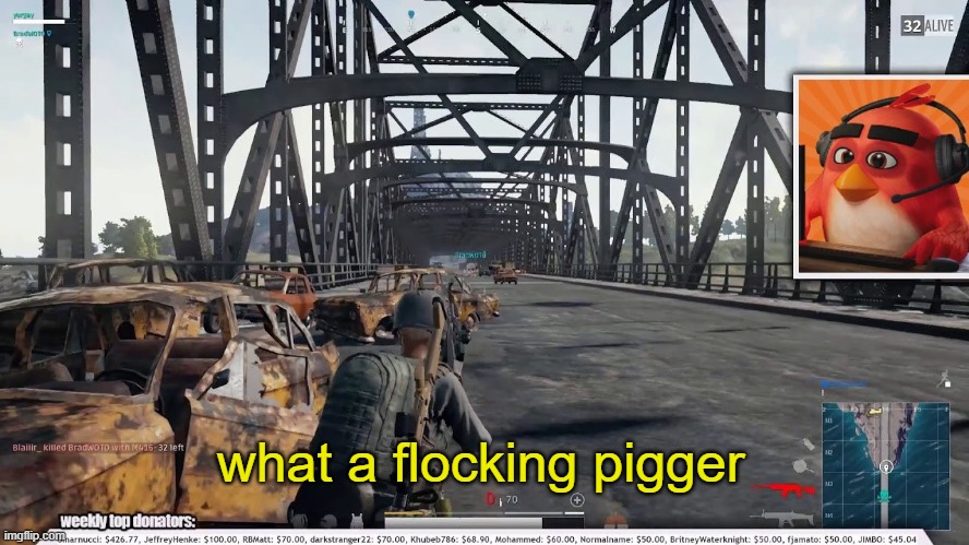 what a flocking pigger | made w/ Imgflip meme maker