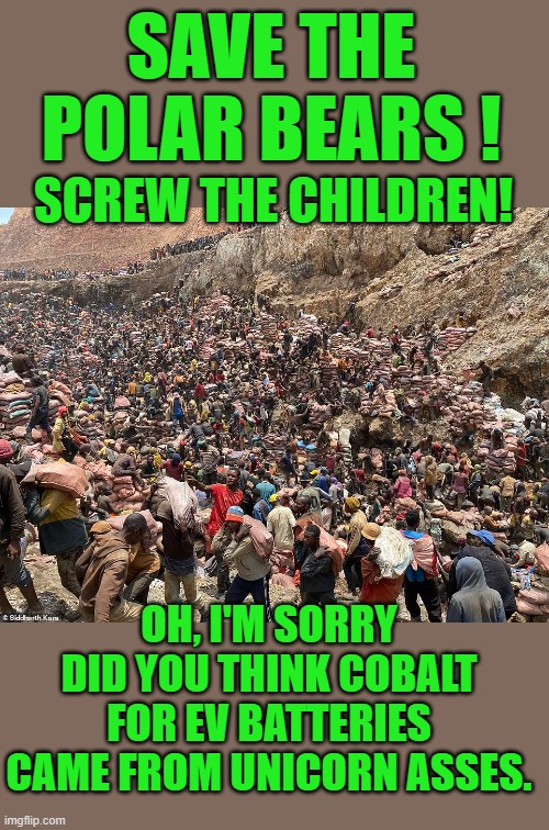 yep | SAVE THE POLAR BEARS ! SCREW THE CHILDREN! OH, I'M SORRY DID YOU THINK COBALT FOR EV BATTERIES CAME FROM UNICORN ASSES. | image tagged in democrats | made w/ Imgflip meme maker