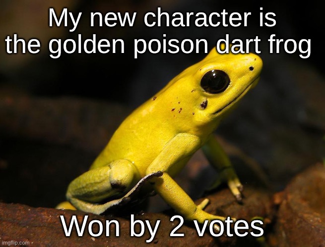 Now 3 | My new character is the golden poison dart frog; Won by 2 votes | made w/ Imgflip meme maker