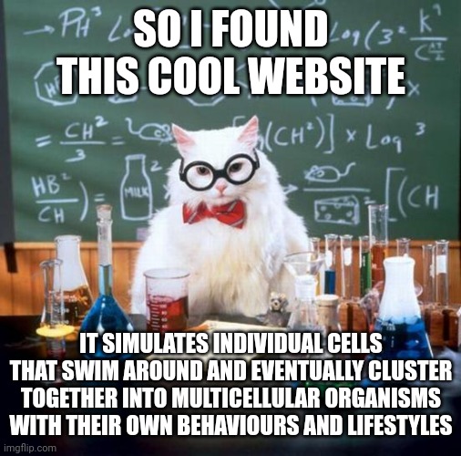 The best part is that there's no hidden ai that tells the cells what to do, all of their behaviors and symbiosis is all based of | SO I FOUND THIS COOL WEBSITE; IT SIMULATES INDIVIDUAL CELLS THAT SWIM AROUND AND EVENTUALLY CLUSTER TOGETHER INTO MULTICELLULAR ORGANISMS WITH THEIR OWN BEHAVIOURS AND LIFESTYLES | image tagged in memes,chemistry cat | made w/ Imgflip meme maker