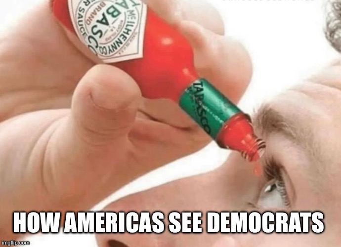 I can see it clearly now | HOW AMERICAS SEE DEMOCRATS | image tagged in democrats | made w/ Imgflip meme maker