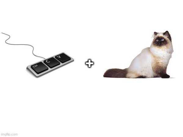 + | made w/ Imgflip meme maker