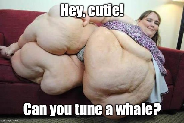 fat girl | Hey, cutie! Can you tune a whale? | image tagged in fat girl | made w/ Imgflip meme maker