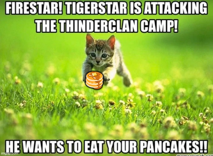 pancakes | 🥞 | image tagged in warrior cats,pancakes,hehehe | made w/ Imgflip meme maker