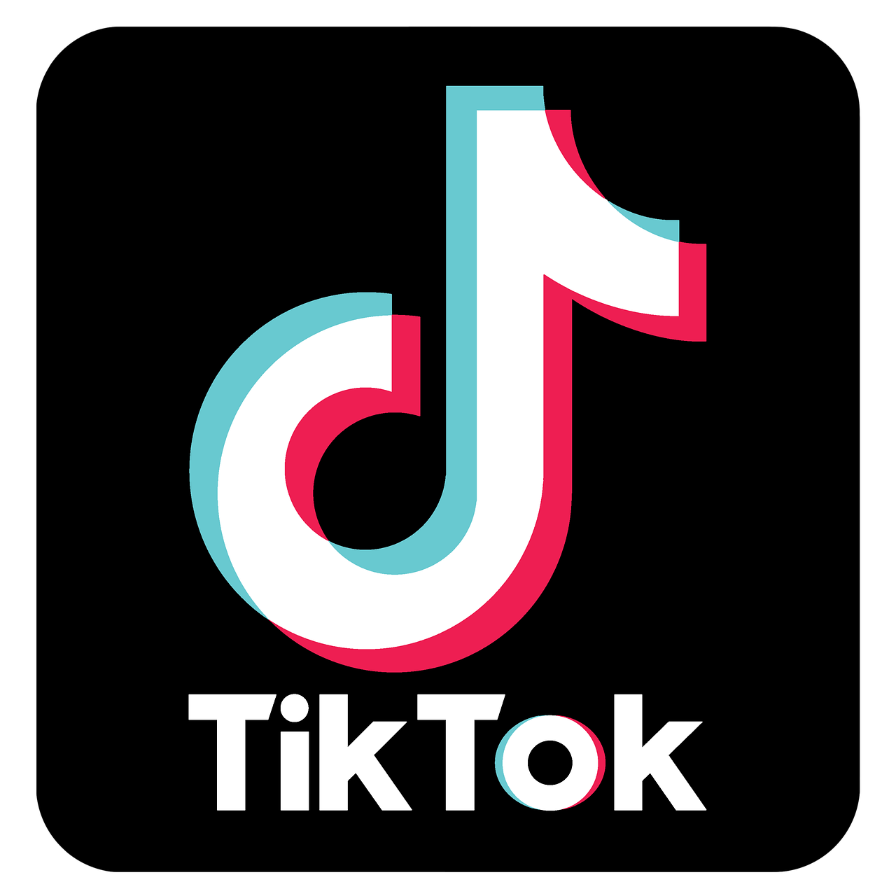 TIKTOK LOGO Blank Meme Template