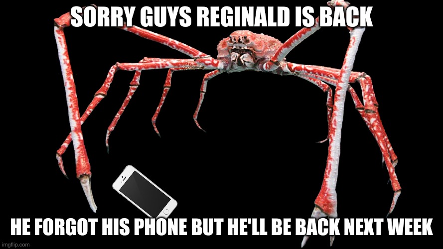 SORRY GUYS REGINALD IS BACK; HE FORGOT HIS PHONE BUT HE'LL BE BACK NEXT WEEK | image tagged in memes | made w/ Imgflip meme maker