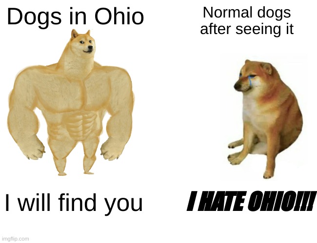 Ohio | Dogs in Ohio; Normal dogs after seeing it; I will find you; I HATE OHIO!!! | image tagged in memes,buff doge vs cheems | made w/ Imgflip meme maker
