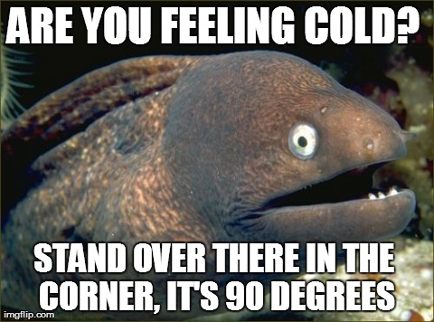 Bad Joke Eel | ARE YOU FEELING COLD?  STAND OVER THERE IN THE CORNER, IT'S 90 DEGREES | image tagged in memes,bad joke eel,AdviceAnimals | made w/ Imgflip meme maker