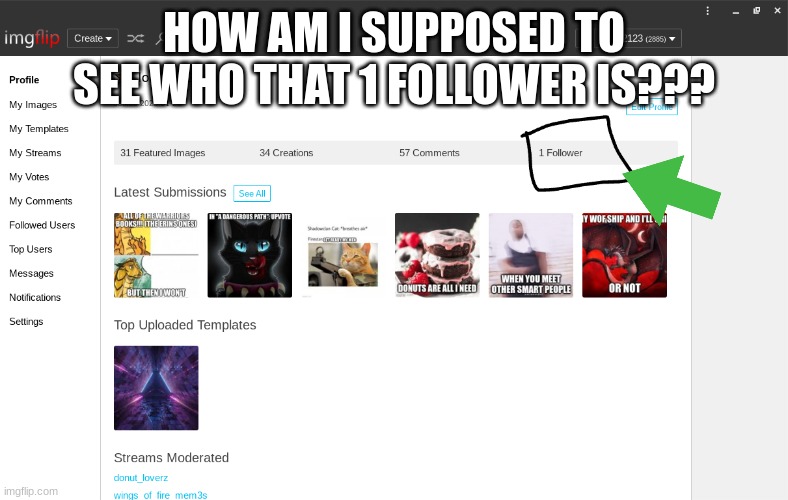 i mean, come on!! | HOW AM I SUPPOSED TO SEE WHO THAT 1 FOLLOWER IS??? | image tagged in wof | made w/ Imgflip meme maker