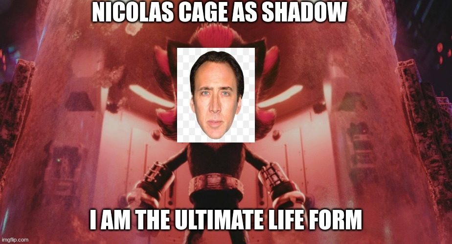 nicolas voicing as shadow | image tagged in memes | made w/ Imgflip meme maker