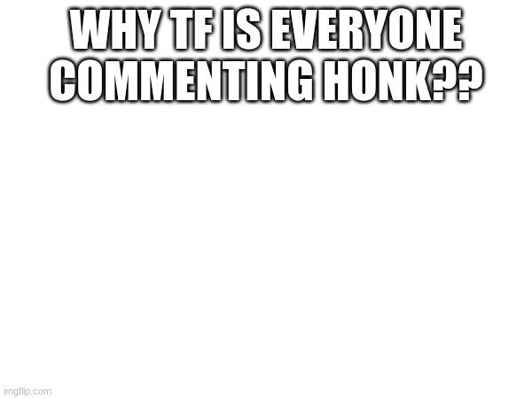 WHY TF IS EVERYONE COMMENTING HONK?? | made w/ Imgflip meme maker