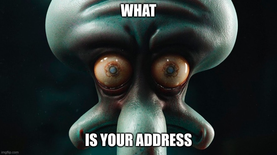 cursed squidward | WHAT IS YOUR ADDRESS | image tagged in cursed squidward | made w/ Imgflip meme maker