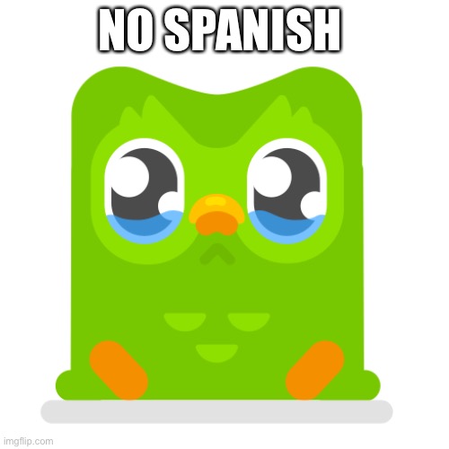 Duo is sad | NO SPANISH | image tagged in sad but true | made w/ Imgflip meme maker
