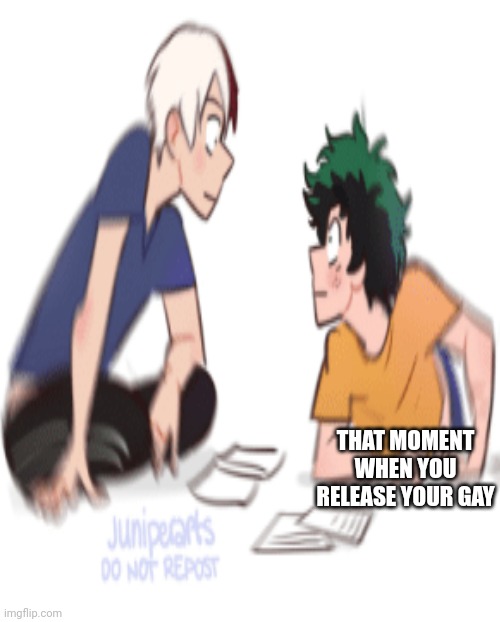 That moment when | THAT MOMENT WHEN YOU RELEASE YOUR GAY | image tagged in deku,todoroki | made w/ Imgflip meme maker