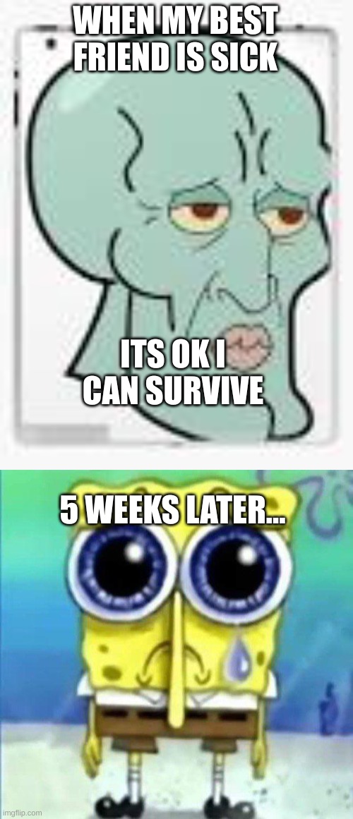 MAKE THIS THE MOST VIEWED THINGS | WHEN MY BEST FRIEND IS SICK; ITS OK I CAN SURVIVE; 5 WEEKS LATER... | image tagged in memes,atol | made w/ Imgflip meme maker