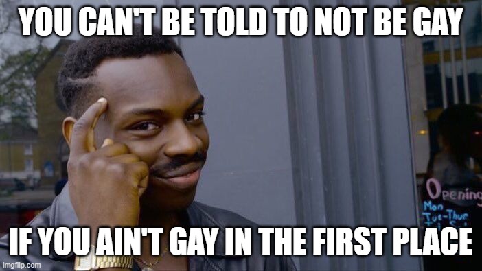 Roll Safe Think About It Meme | YOU CAN'T BE TOLD TO NOT BE GAY IF YOU AIN'T GAY IN THE FIRST PLACE | image tagged in memes,roll safe think about it | made w/ Imgflip meme maker