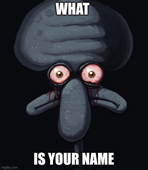 squidward dark face | WHAT IS YOUR NAME | image tagged in squidward dark face | made w/ Imgflip meme maker