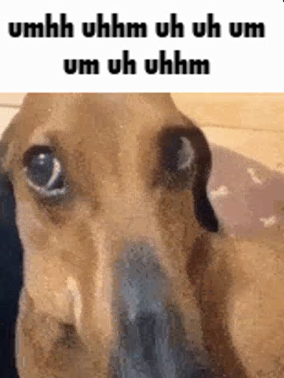 High Quality Awkward dog Blank Meme Template