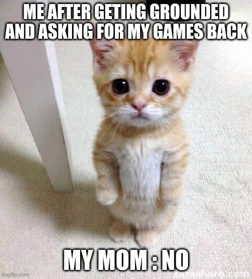 Cute Cat | ME AFTER GETING GROUNDED AND ASKING FOR MY GAMES BACK; MY MOM : NO | image tagged in memes,cute cat | made w/ Imgflip meme maker