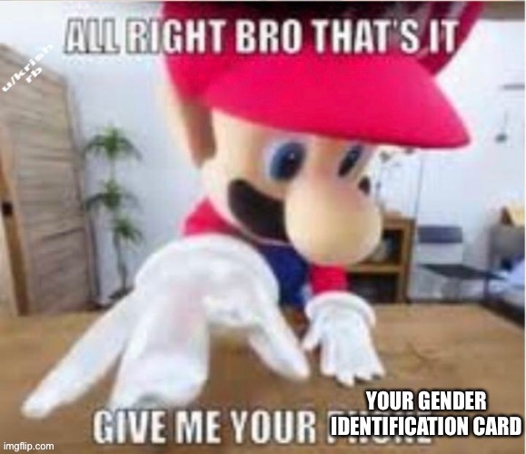 alright bro that's it, give me your phone | YOUR GENDER IDENTIFICATION CARD | image tagged in alright bro that's it give me your phone | made w/ Imgflip meme maker