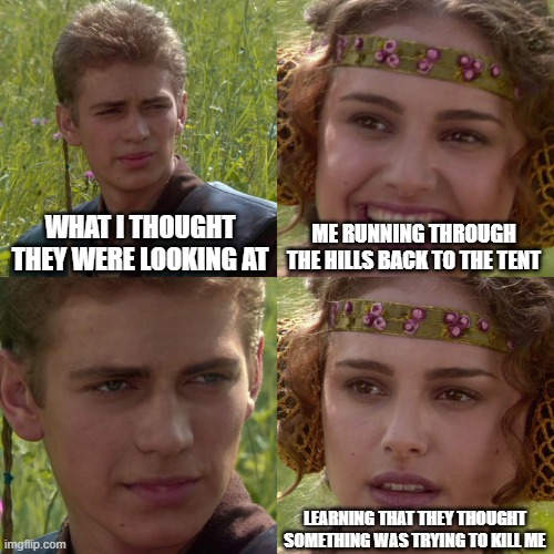 Anakin Padme 4 Panel | WHAT I THOUGHT THEY WERE LOOKING AT; ME RUNNING THROUGH THE HILLS BACK TO THE TENT; LEARNING THAT THEY THOUGHT SOMETHING WAS TRYING TO KILL ME | image tagged in anakin padme 4 panel | made w/ Imgflip meme maker