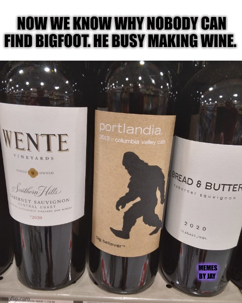 Mystery Solved | NOW WE KNOW WHY NOBODY CAN FIND BIGFOOT. HE BUSY MAKING WINE. MEMES BY JAY | image tagged in sasquatch,wine,unsolved mysteries | made w/ Imgflip meme maker