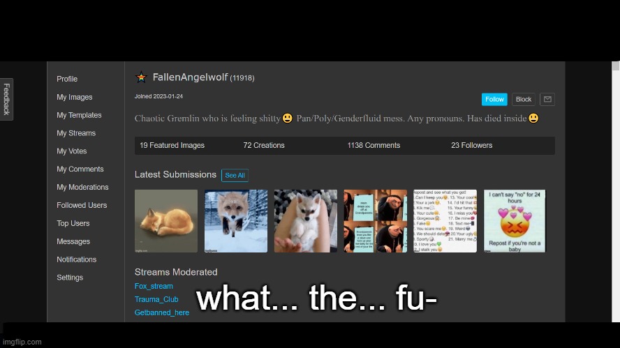 The streams they follow is even more horrendous (they also had the audacity to follow the antizoophile army) | what... the... fu- | made w/ Imgflip meme maker