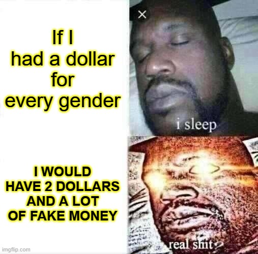 Money | If I had a dollar for every gender; I WOULD HAVE 2 DOLLARS AND A LOT OF FAKE MONEY | image tagged in memes,sleeping shaq,money,transgender,gender identity,gender | made w/ Imgflip meme maker