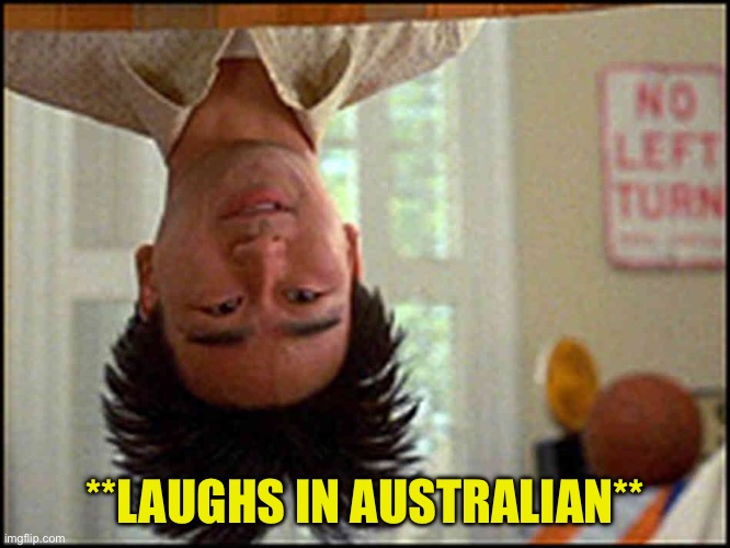Long Duck Dong (upside down) | **LAUGHS IN AUSTRALIAN** | image tagged in long duck dong upside down | made w/ Imgflip meme maker