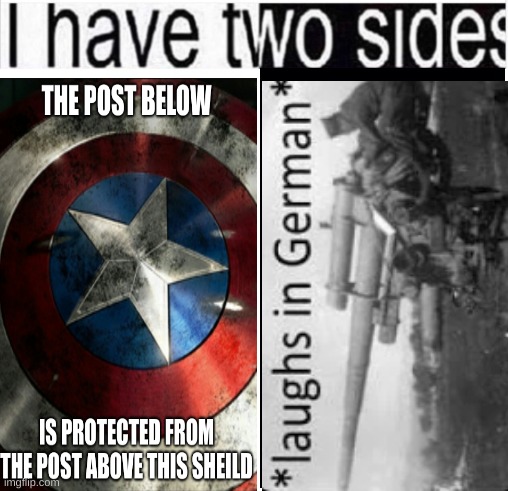 I am either a protector or a killer | image tagged in i have two sides,shield,protection,or,nazi,destruction | made w/ Imgflip meme maker