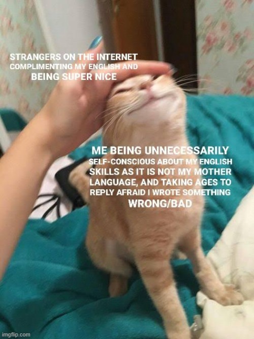 image tagged in cats,wholesome,memes,funny,relatable memes,wholesome content | made w/ Imgflip meme maker