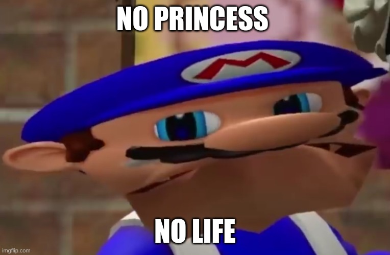 MARIO GETS NOTHING | NO PRINCESS; NO LIFE | image tagged in mario,gaming,memes | made w/ Imgflip meme maker