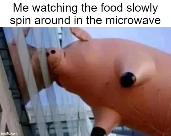 MMMMMMMMMMMMMMM | Me watching the food slowly spin around in the microwave | image tagged in funny,relatable | made w/ Imgflip meme maker