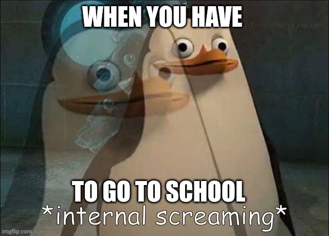 Private Internal Screaming | WHEN YOU HAVE; TO GO TO SCHOOL | image tagged in private internal screaming | made w/ Imgflip meme maker