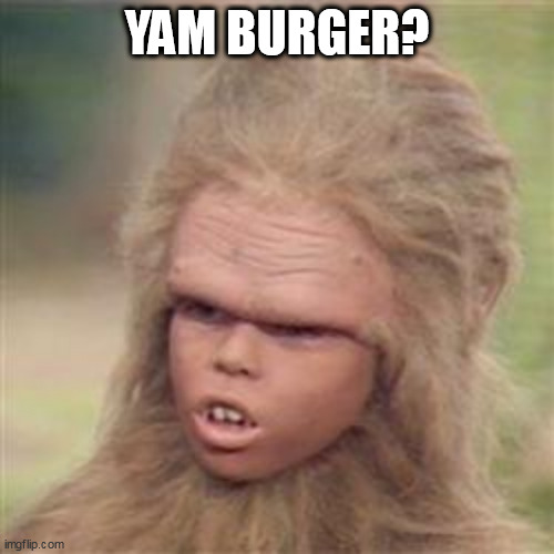 Chaka 2024 | YAM BURGER? | image tagged in chaka,vegan,2024,questioning,what | made w/ Imgflip meme maker