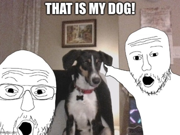 That is my dog! | image tagged in dog | made w/ Imgflip meme maker