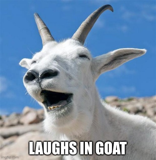 Laughing Goat Meme | LAUGHS IN GOAT | image tagged in memes,laughing goat | made w/ Imgflip meme maker