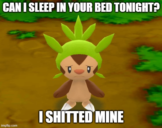 what the hell, chespin | CAN I SLEEP IN YOUR BED TONIGHT? I SHITTED MINE | image tagged in pokemon mystery dungeon,pokemon,chespin | made w/ Imgflip meme maker