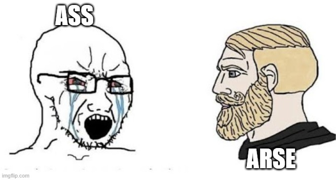Ass vs Arse | ASS; ARSE | image tagged in soyjak vs chad,ass,arse | made w/ Imgflip meme maker