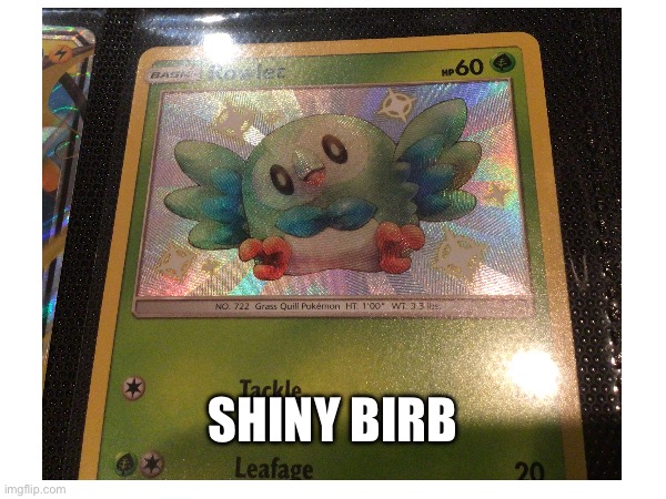 Shiny birb | SHINY BIRB | image tagged in birb,pokemon,pokemon memes,why are you reading the tags | made w/ Imgflip meme maker