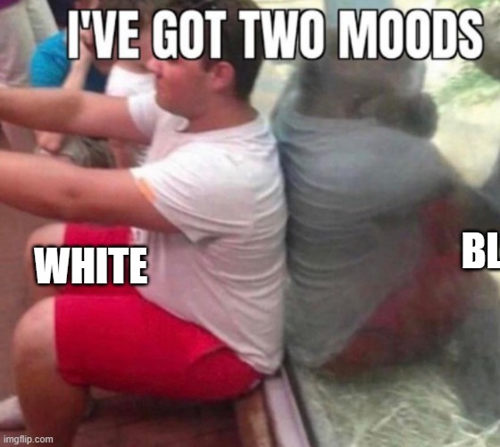 WHITE BL | made w/ Imgflip meme maker