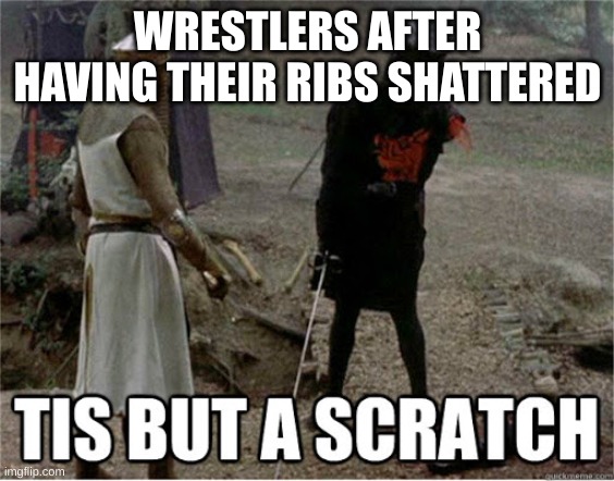 you know I'm exaggerating | WRESTLERS AFTER HAVING THEIR RIBS SHATTERED | image tagged in tis but a scratch | made w/ Imgflip meme maker