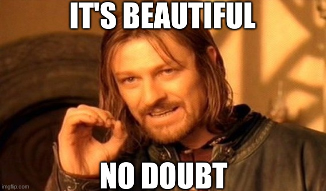 One Does Not Simply Meme | IT'S BEAUTIFUL NO DOUBT | image tagged in memes,one does not simply | made w/ Imgflip meme maker