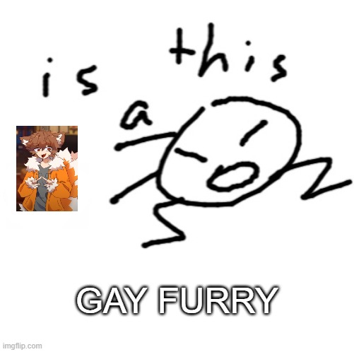 hmmmm | GAY FURRY | image tagged in is this a | made w/ Imgflip meme maker